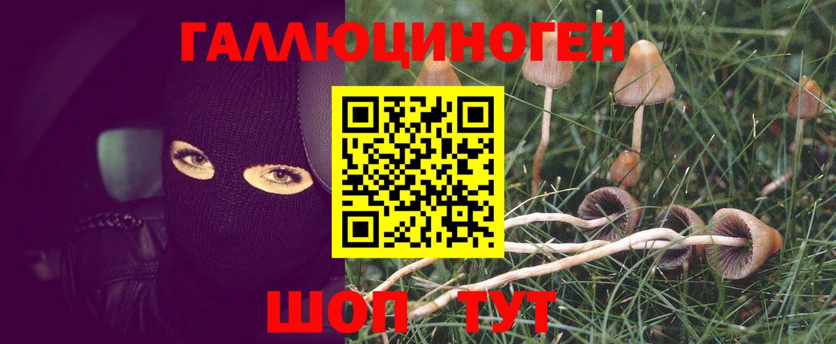 Псилоцибиновые грибы Magic Shrooms Похвистнево