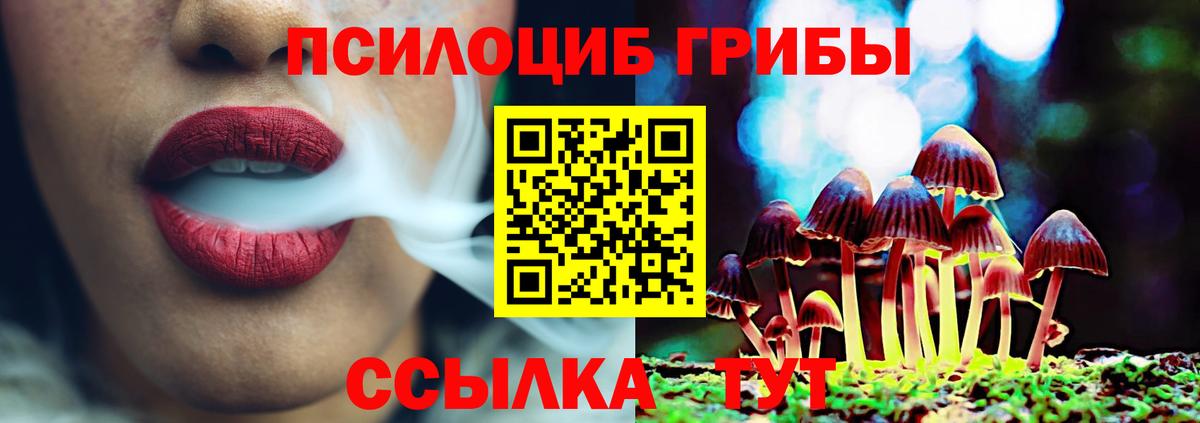 Псилоцибиновые грибы Cubensis  Вход с VPN  Похвистнево 